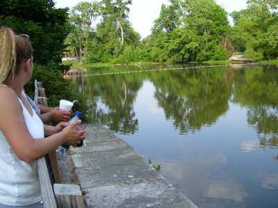 Millstream Overlook