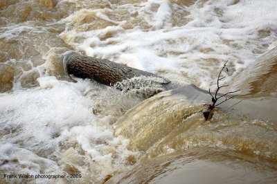 rushing water.jpg