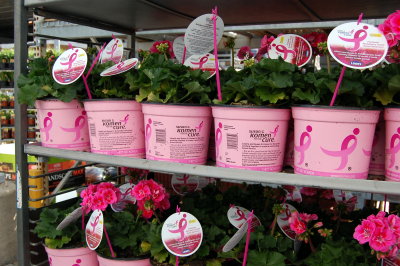 Komen Collection at Lowe's