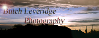 Random Shots