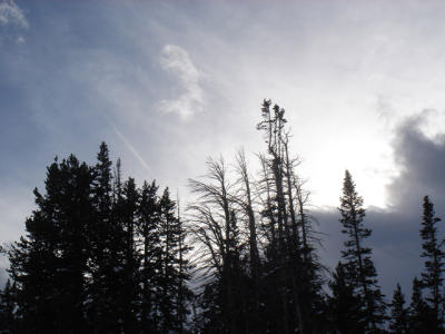 g3/64/87364/3/56036295.101MSDCFa95.jpg