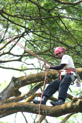 Lim Yaohui_eDSCF8407.jpg