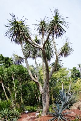 reDSCF1428.jpg