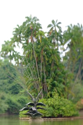 reDSCF1530.jpg