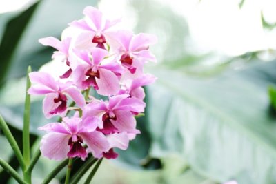 g3/64/94464/3/122612976.GTz1aLyS.jpg
