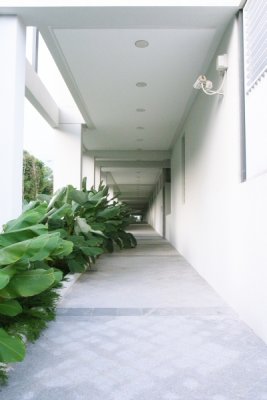 erR0016201.jpg