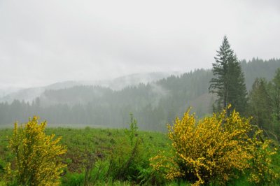 Mohawk Mountains