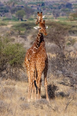 EOS-1D Mark II_090204_6960.jpg