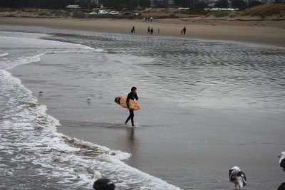 Surfer on Morro Rock Beach