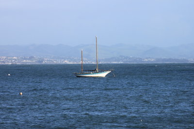 Sail Boat in Harbor