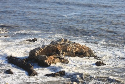 IMG_0529.JPG