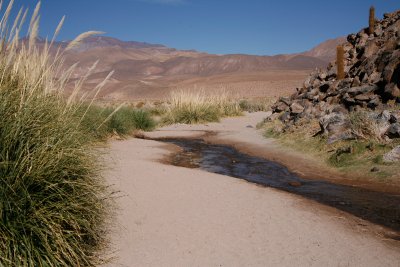 Guatin, Atacama