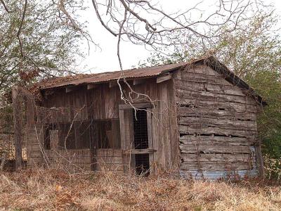 Shed (or Chicken House?)