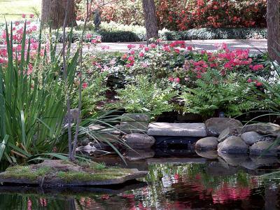 Water Garden