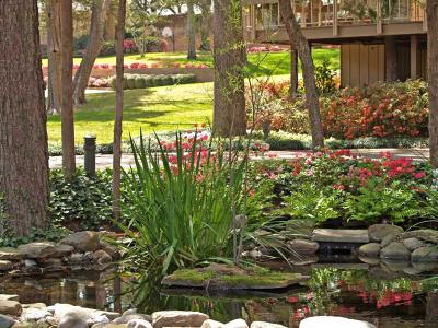 Same Water Garden