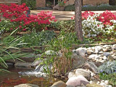 Water Garden again