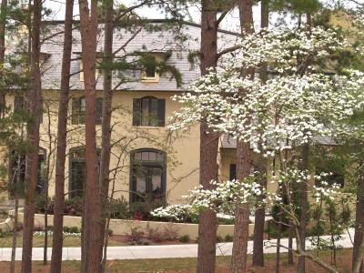 Mansion in the woods