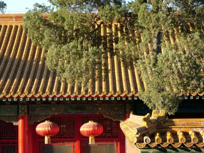 6820_Forbidden City