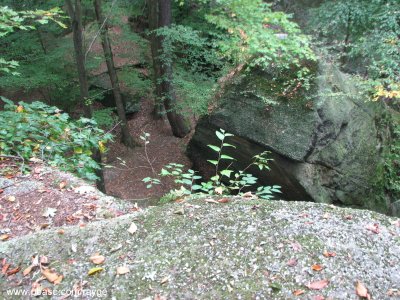 IMG_5169.jpg