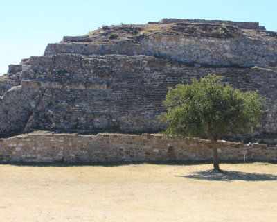 g3/65/253765/3/120790464.KFpU8k7P.jpg