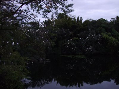 DSCF0239.JPG