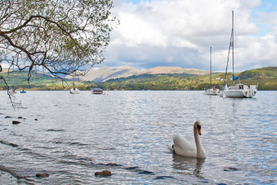 Windermere Walk_0135