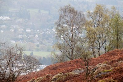 Windermere Walk_0087