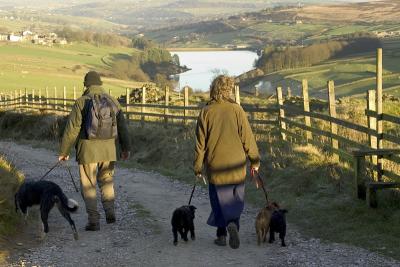 Walking the dogs above Haworth