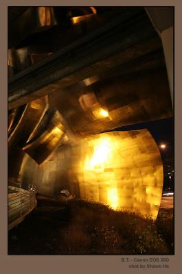 Experience Music Project (EMP) / Outside
