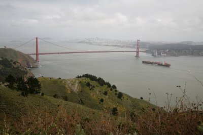 Golden Gate #5