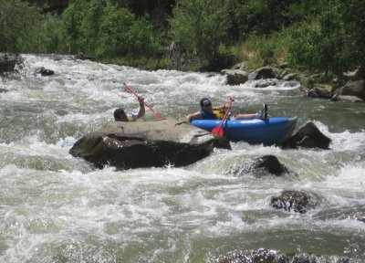 Carnage at Mothers on Cache Creek
