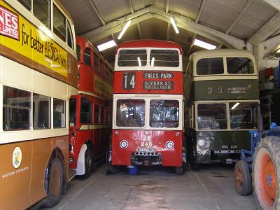 Shed-load of Trolleybuses