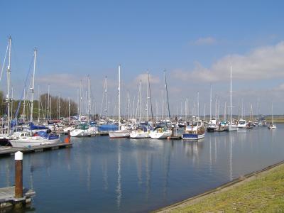 Boats in Shotley Marina