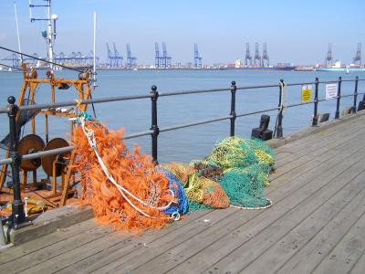 Nets on the Pier