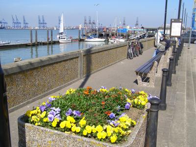Flowers on the Promenade - Harwich