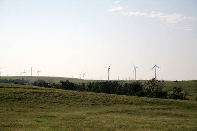 Aug22008_3611.jpg
