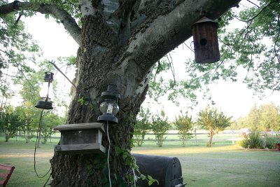 June302009_0812.jpg