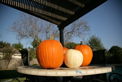 Carving the Pumpkin, 2007