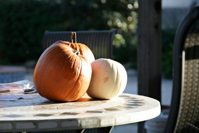 Oct292007_6166.jpg
