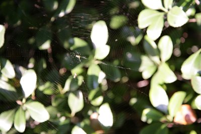 Oct292007_6186.jpg