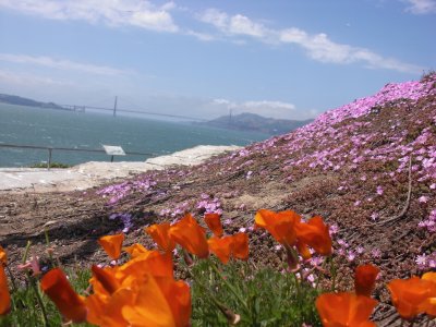 CIMG0521.JPG
