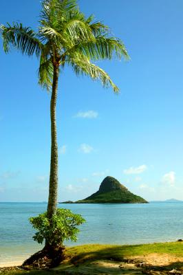 December 31 - Chinaman's Hat