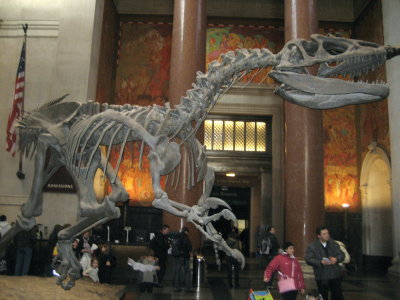 Museum of Natural History