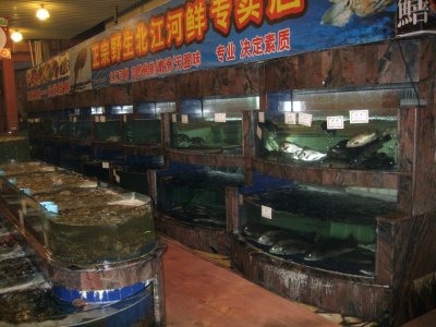 Fish Eatery