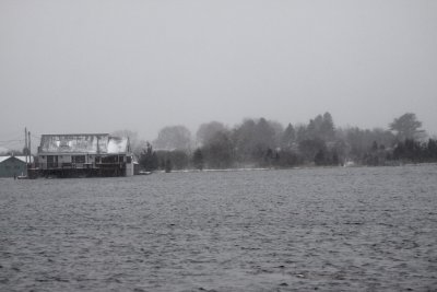 Island Path 3.jpg