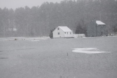 2010_storm