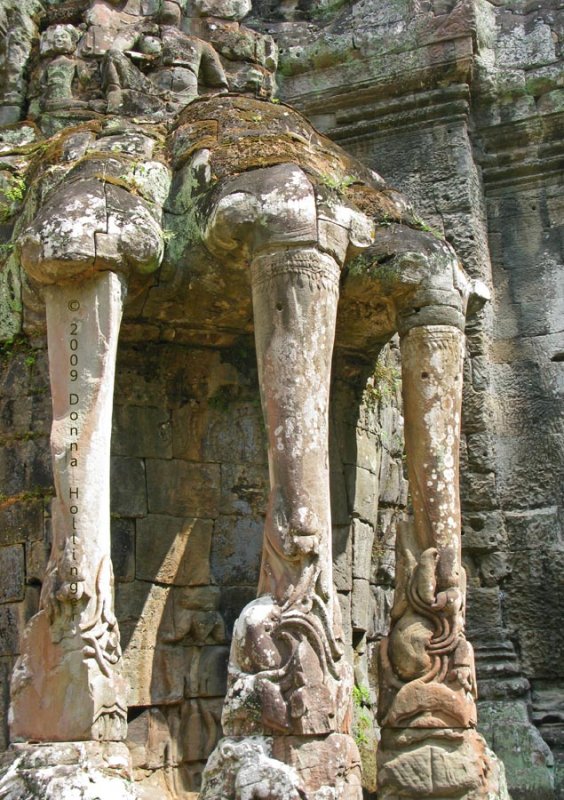 Stylized Elephants