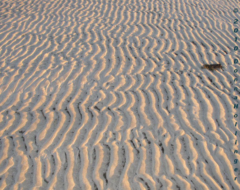 Sand Shadows