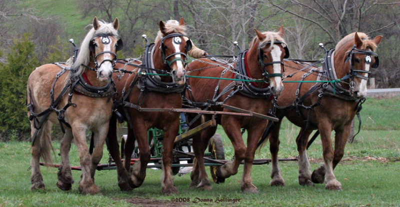 Plowing in Strafford