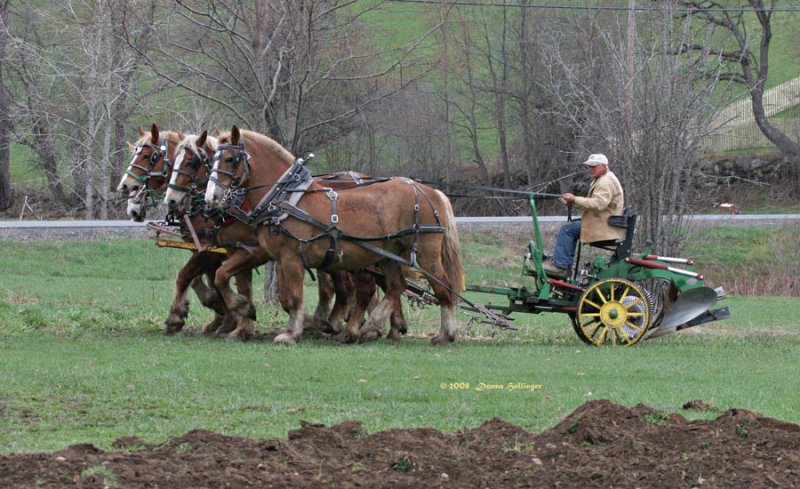 Earl and the Plow Team